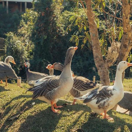Hotel Chales Capitanias Águas de Lindóia 外观 照片